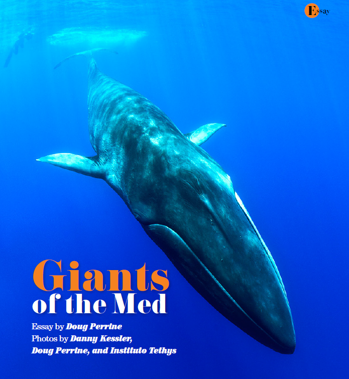 Ocean Geographic Edition 37 - Nov 2016